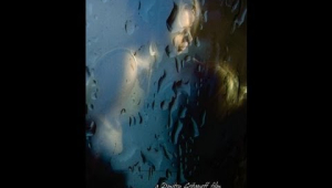 A Sister&#039;s Kiss / Potseluy sestry (2007) Eng sub