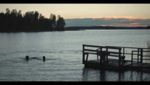 A Moment in the Reeds