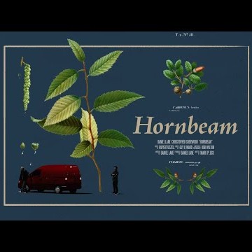Hornbeam - BIFA Longlisted Short // Official Teaser