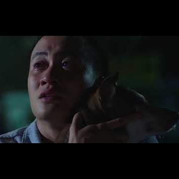 Lost In Paradise 2 (2017) - Trailer