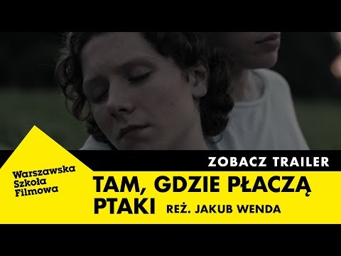 TAM, GDZIE PŁACZĄ PTAKI (2023) | reż. JAKUB WENDA | TRAILER