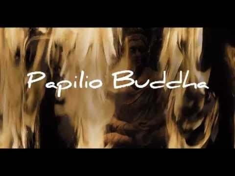 Papilio Buddha