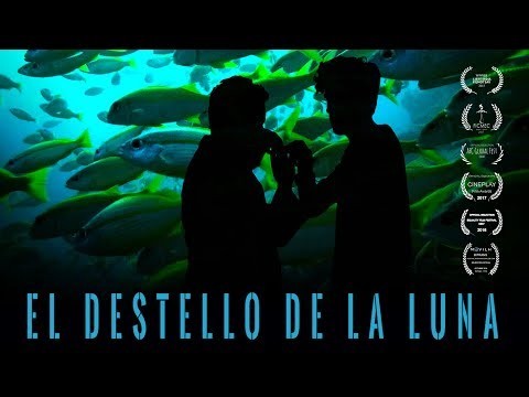 El Destello de la Luna - Trailer
