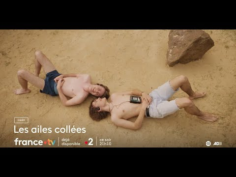 Les ailes collées mercredi 14 mai 2025 sur France 2