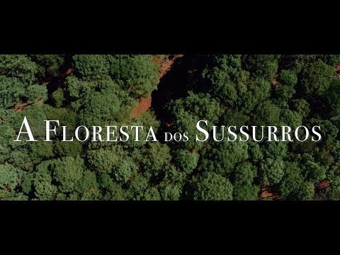 A Floresta dos Sussurros Trailer Oficial